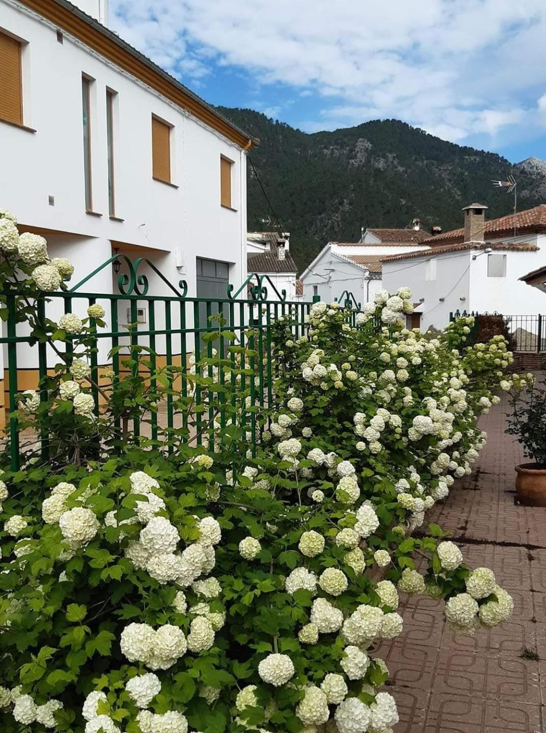 Albergue Ruta Rio Borosa Coto Ríos Zewnętrze zdjęcie